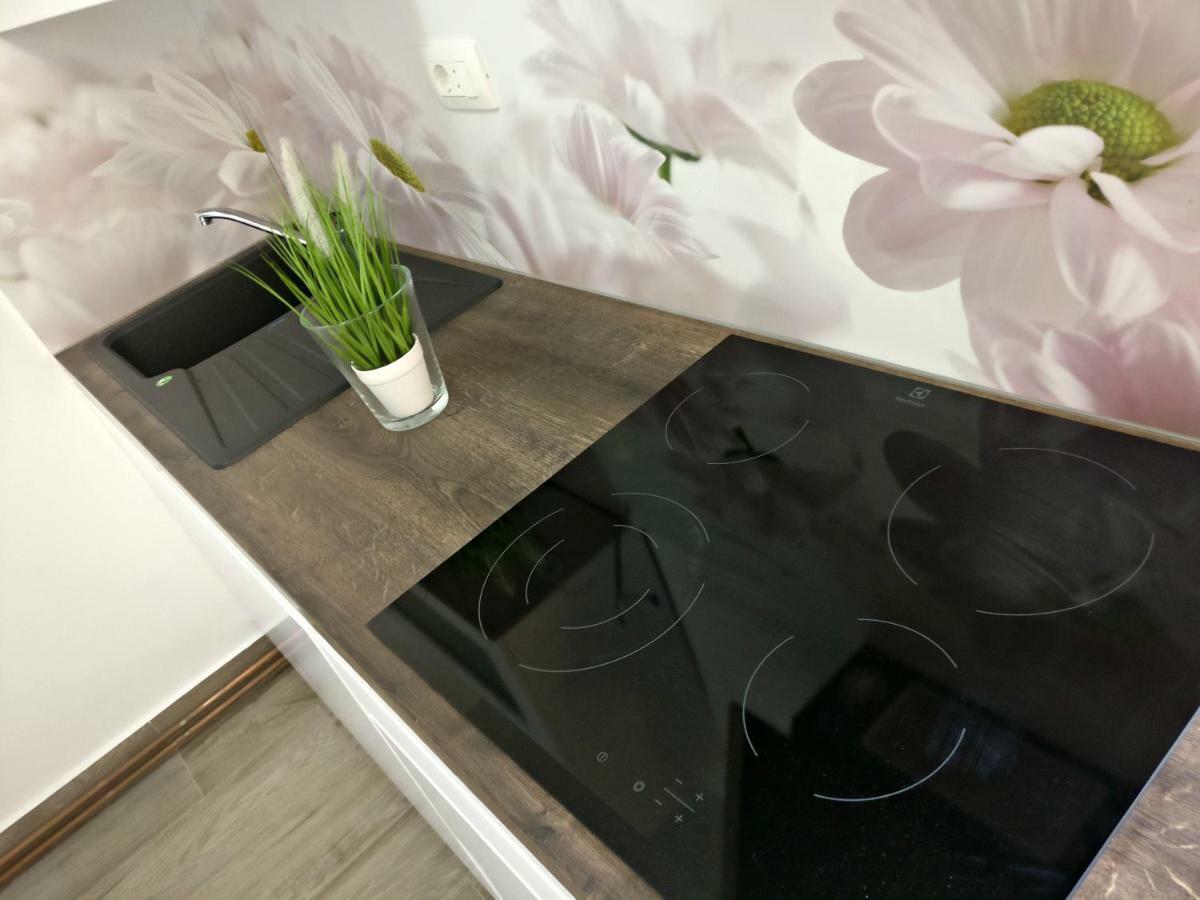 Apartments Vila Dk マリンスカ エクステリア 写真