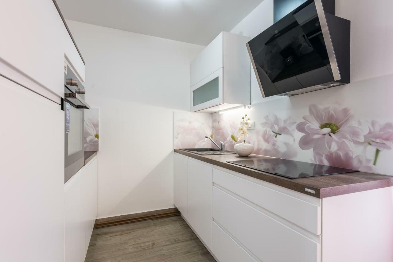 Apartments Vila Dk マリンスカ エクステリア 写真